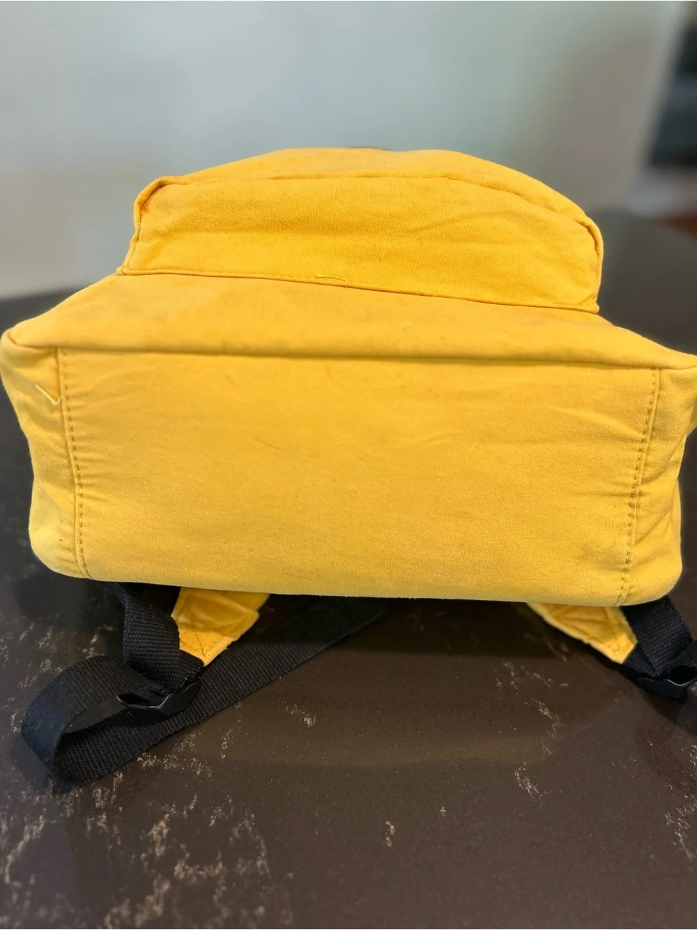 Wizarding World of Harry Potter Hufflepuff Backpack